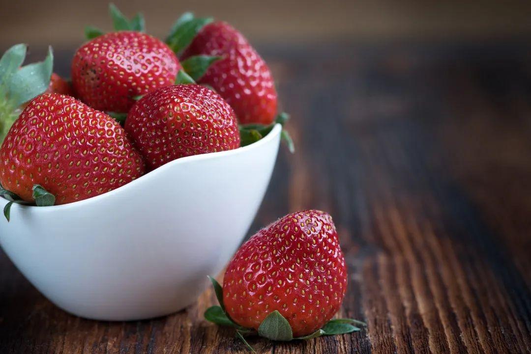 Surrogate mother pregnancy nutrition strategy