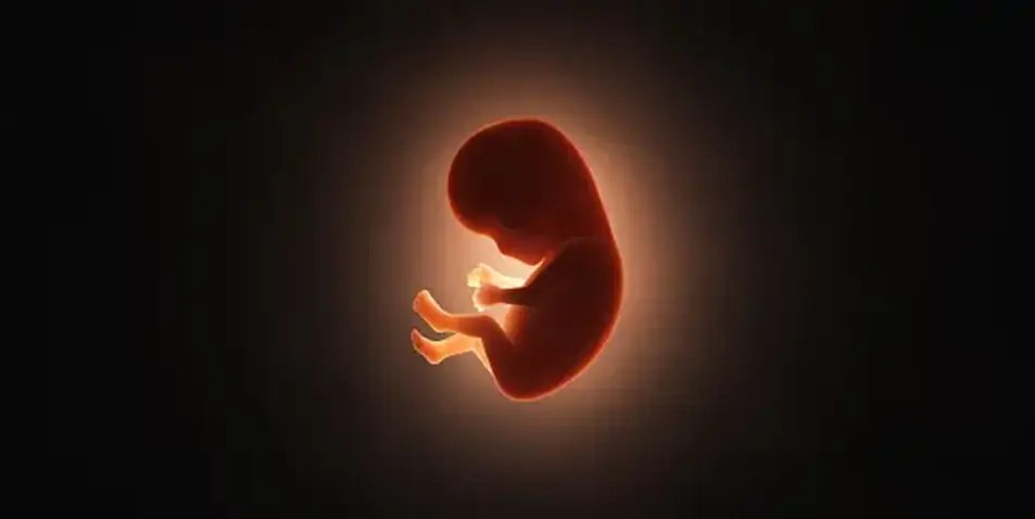 Clinical Value of Noninvasive Prenatal Genetic Testing for Surrogate Mothers