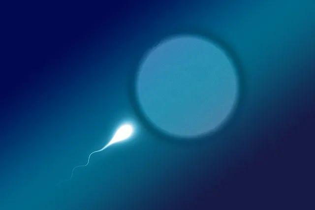 Keys to Improving IVF Success Rates