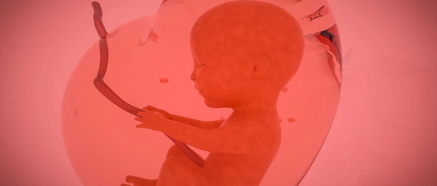 Surrogate mother
