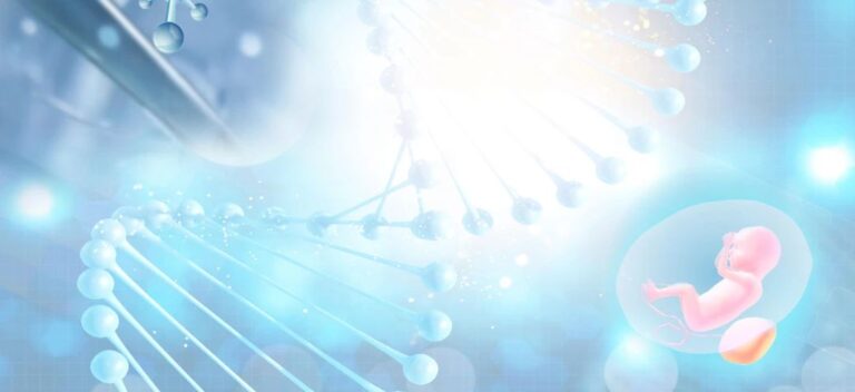 Fetal Malformation Prevention Guidelines for Surrogate Mothers
