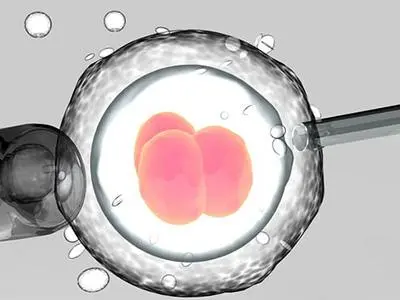 Surrogacy Insurance: What’s Covered & What’s Not (2026)