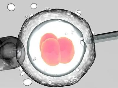 Mock Embryo Transfer in Surrogacy: Why It Matters (2026)